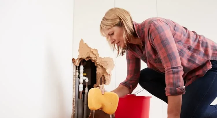 How To Find A Hidden Water Leak