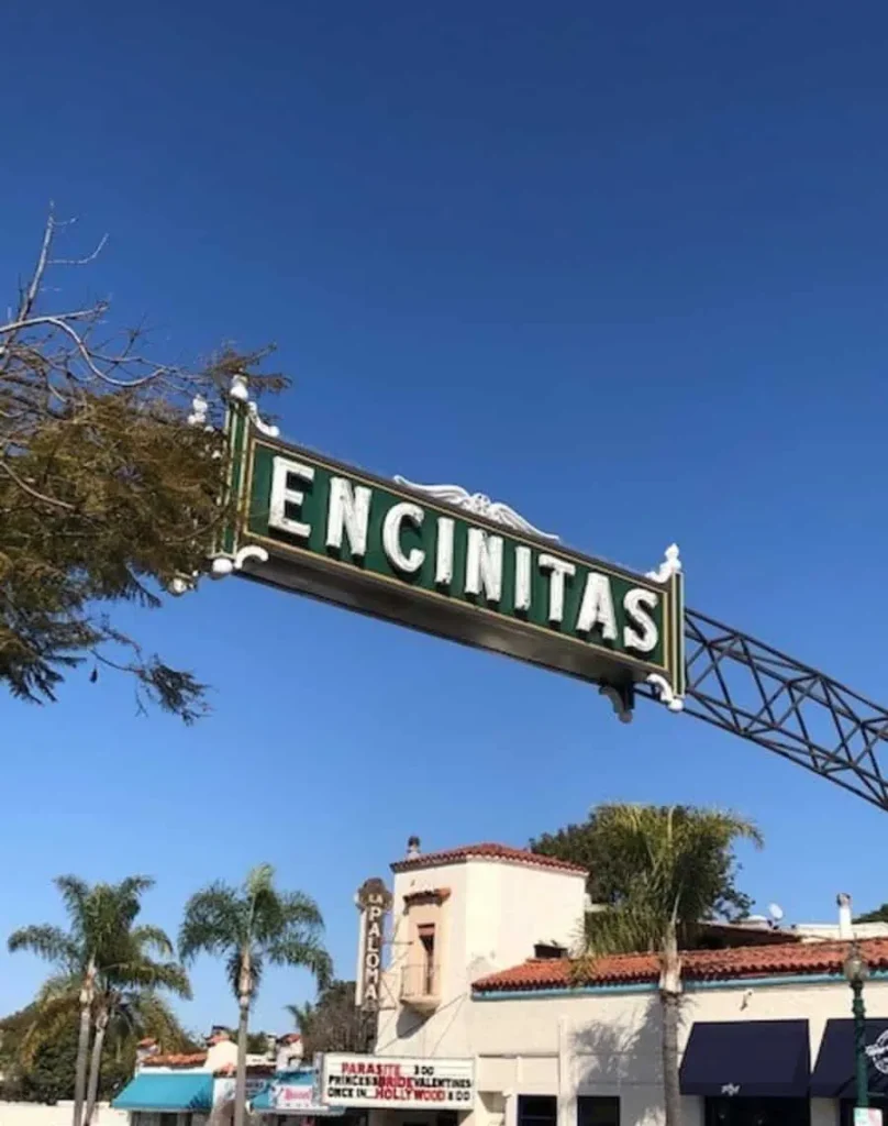 Pipe Leak Replacement: Root Intrusion & Offset In Encinitas
