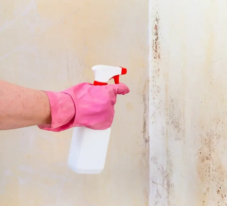 3 Ways On How To Prevent Bathroom Mold