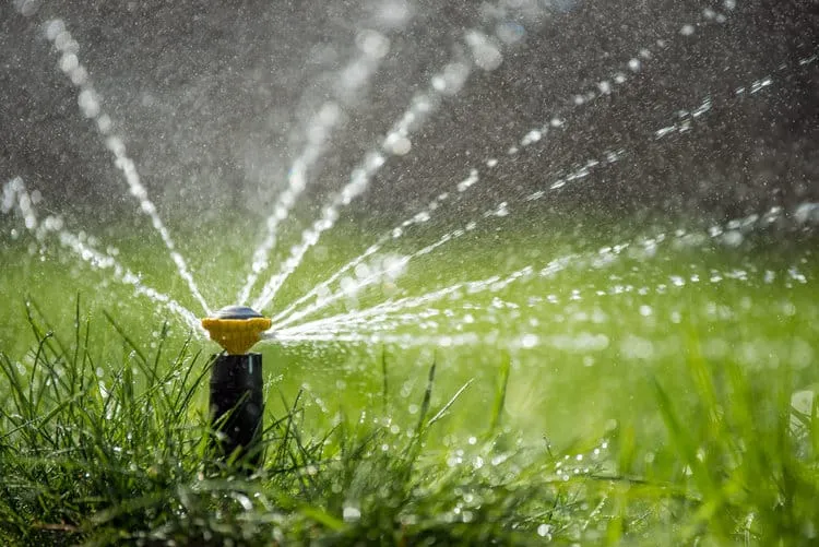 3 Plumbing Tips for Summer!